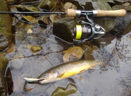 雨の渓流ミノーイング